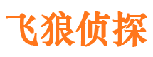 子洲市侦探公司